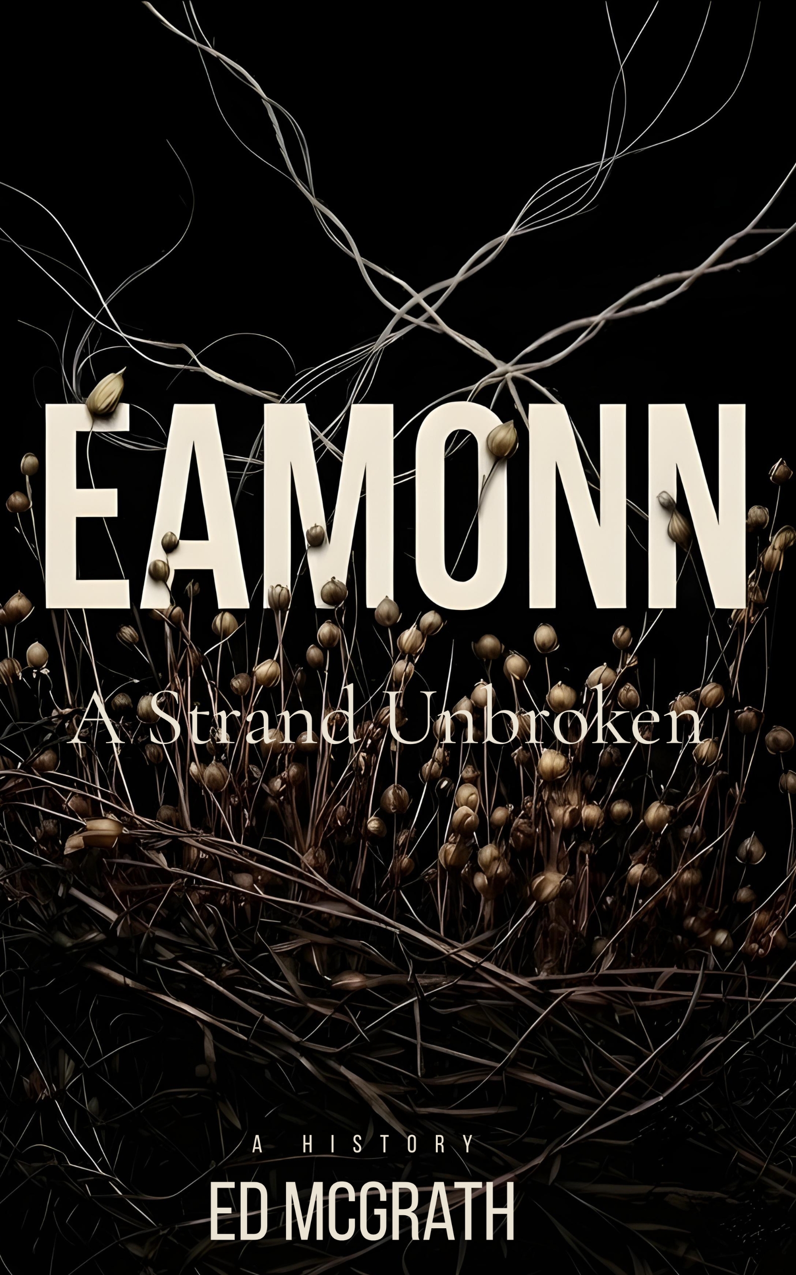 Cover of Eamonn: A Strand Unbroken by Ed McGrath